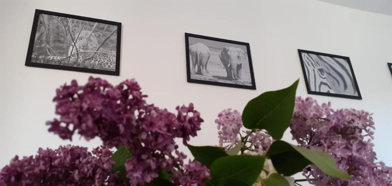 Ferienwohnung วิทเทนเบิร์ก ภายนอก รูปภาพ