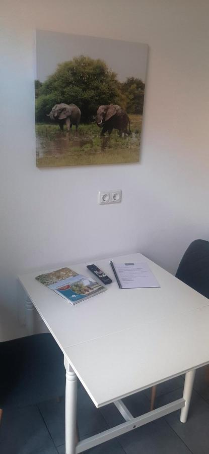 Ferienwohnung วิทเทนเบิร์ก ภายนอก รูปภาพ